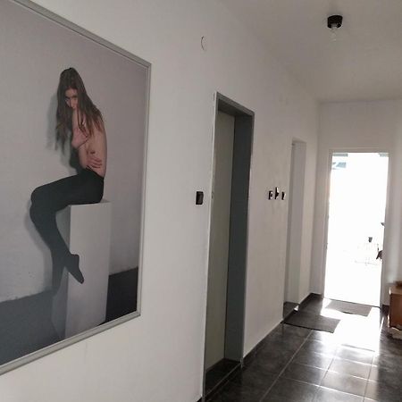 Modern Flat Near Downtown Plovdiv Apartman Kültér fotó